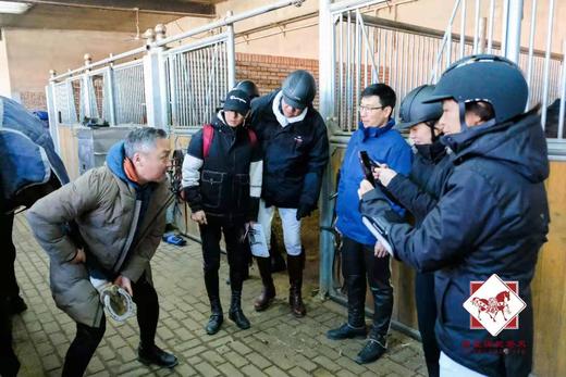 马房课程 线下课 商品图0