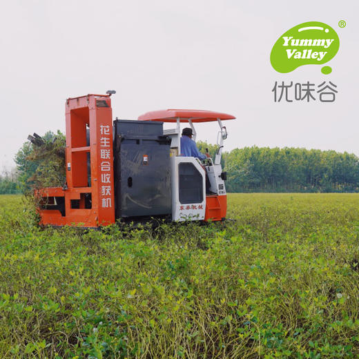 优味谷柔滑/颗粒花生酱 申通/中通 商品图4