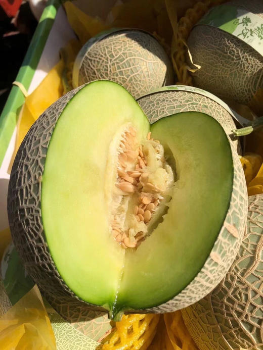 🍈玫龙软心·海南网纹瓜原价180参团138 商品图0