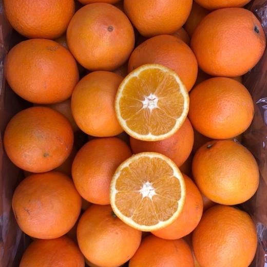 江西赣南脐橙小果