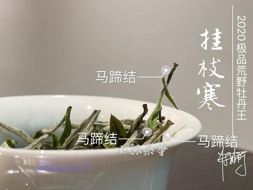 2020荒野牡丹王中的特级（挂枝寒），花香与毫香中蕴在挂枝寒意里的温柔汤 商品图8