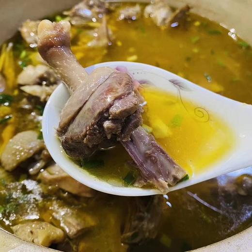 安吉农家小野鸭小麻鸭生态放养2年生长