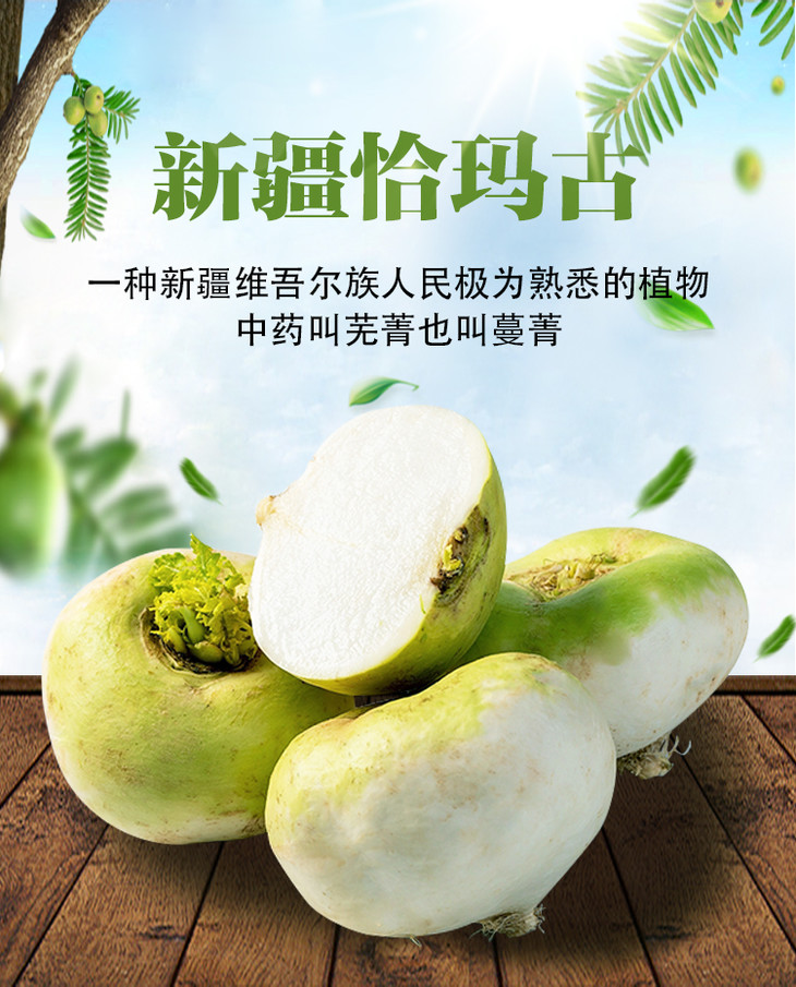 新疆蔬菜食材 恰玛古 5斤装 （包邮）
