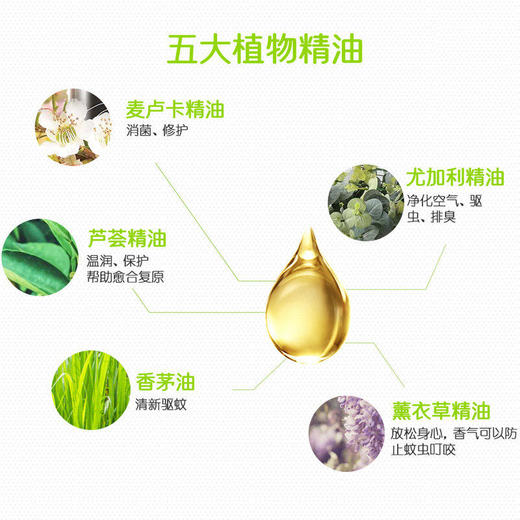 新西兰BEGGI植物驱蚊水75ml 商品图2