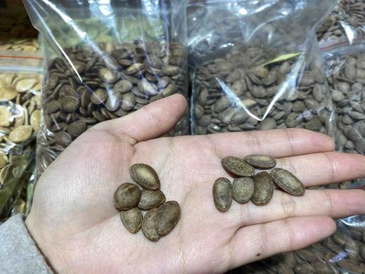 【坚果系列】大颗粒瓜蒌子原味、奶油味，颗粒饱满，粒粒醇香，老少皆宜！ 商品图4