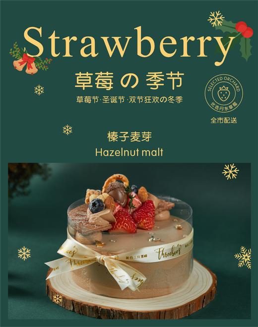 榛子麦芽 商品图0