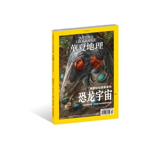 《华夏地理》杂志2020年10月--恐龙宇宙 商品图0