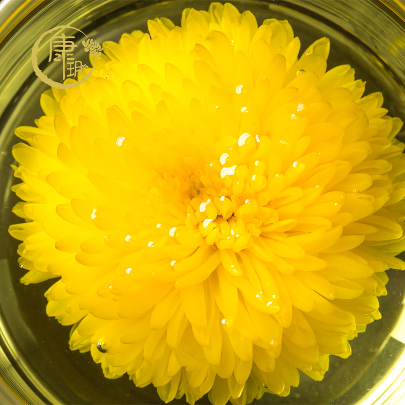 【特大轩德黄菊】农家肥纯绿色种植，原木烘焙，一朵一杯礼盒装