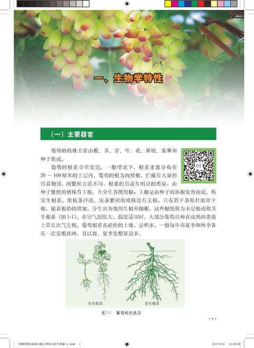 葡萄高效栽培与病虫害防治彩色图谱 商品图2