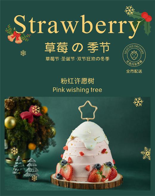 粉红许愿树 商品图0