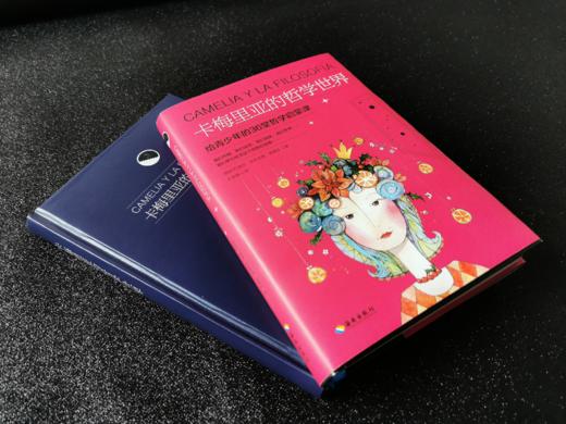 卡梅里亚的哲学世界：写给青少年的36堂哲学启蒙课，更贴近生活的《苏菲的世界》 培养健全人格，从读哲学开始 商品图2