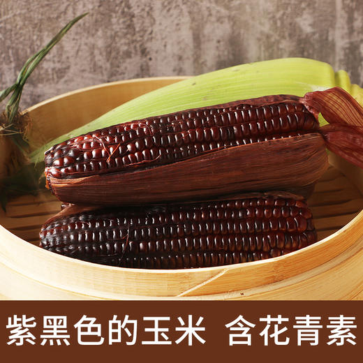 山西忻州有机黑玉米  锁鲜味美 颗粒饱满  香糯回甘  10根装 商品图3