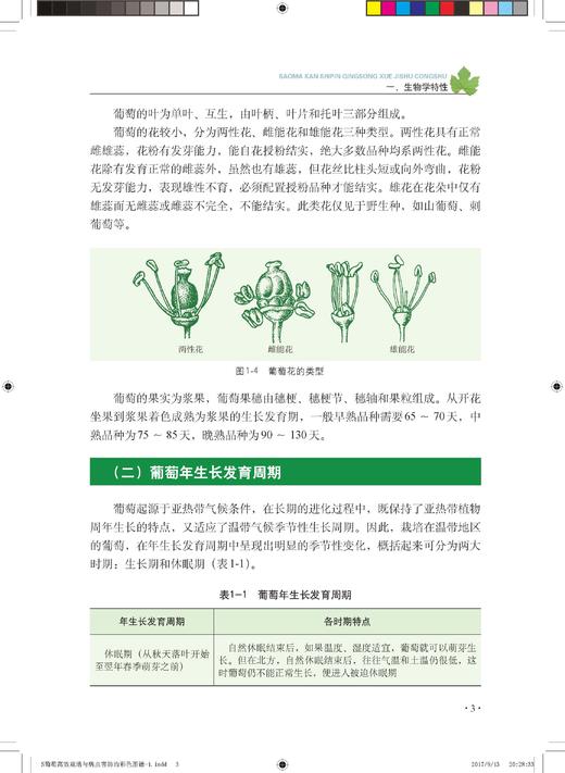 葡萄高效栽培与病虫害防治彩色图谱 商品图4