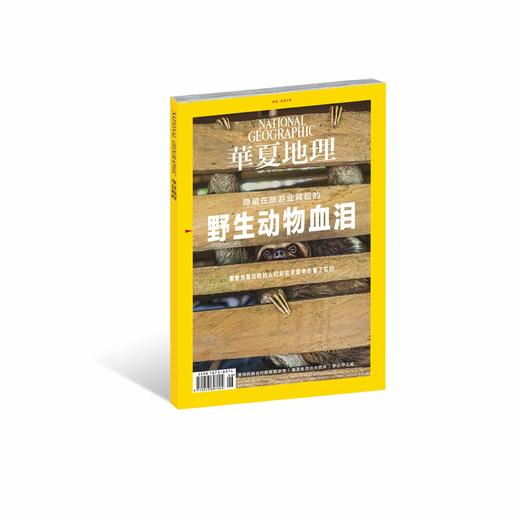 《华夏地理》杂志2019年6月--野生动物血泪 商品图0