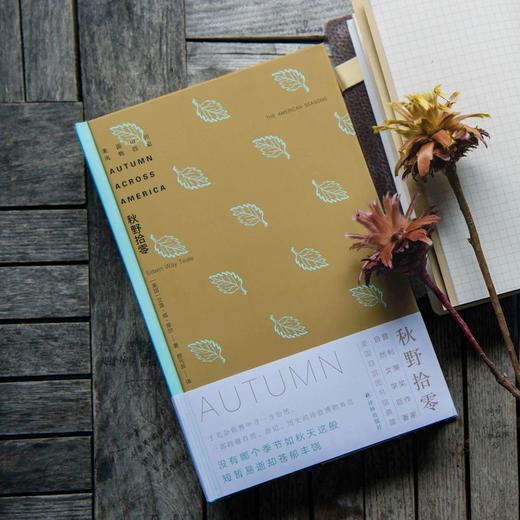 《美国山川风物四记》（全四册） 商品图6