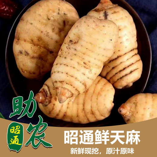 云南昭通鲜天麻2斤 商品图0