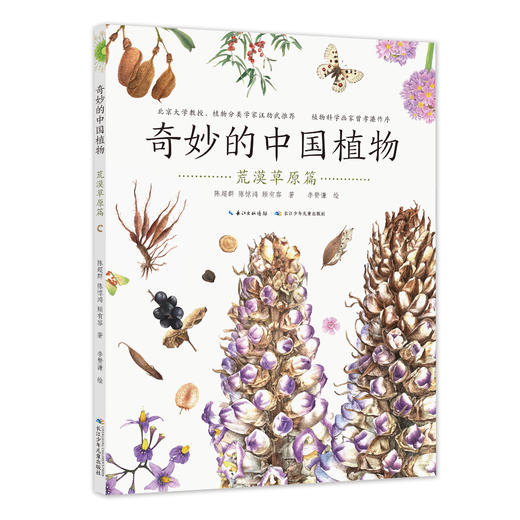 《奇妙的中国植物》全4册 一套为儿童全面介绍中国奇妙植物的科普绘本 商品图3