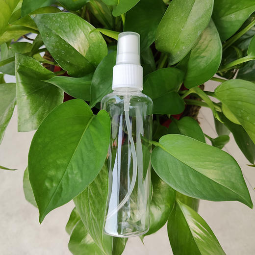 透明小喷瓶 细雾 75ml 喷雾瓶子化妆瓶 塑料瓶化妆品小喷壶分装瓶 商品图1