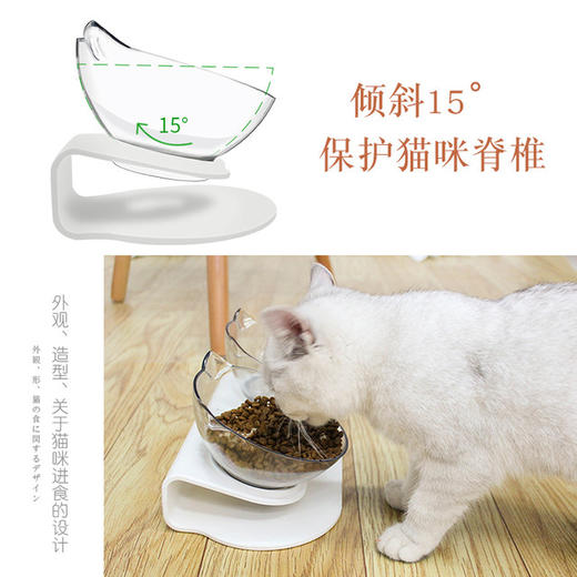 猫碗透明双碗猫粮碗水碗猫食盆猫碗架狗碗狗粮盆斜口护脊椎 商品图3