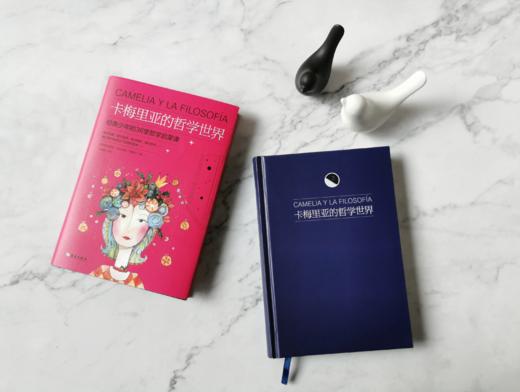 卡梅里亚的哲学世界：写给青少年的36堂哲学启蒙课，更贴近生活的《苏菲的世界》 培养健全人格，从读哲学开始 商品图1