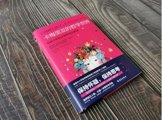 卡梅里亚的哲学世界：写给青少年的36堂哲学启蒙课，更贴近生活的《苏菲的世界》 培养健全人格，从读哲学开始 商品图3