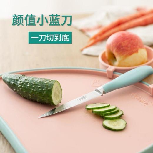 韩国didinika迪迪尼卡辅食菜板套装九件套 商品图4