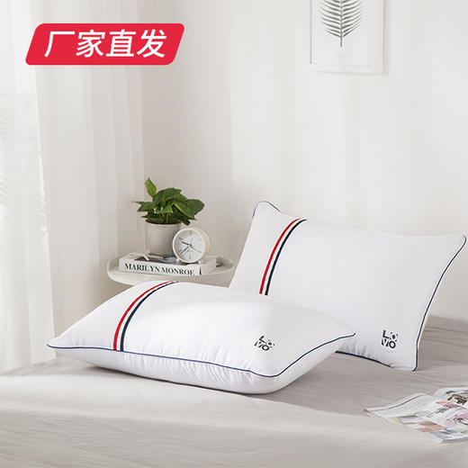 【LOVO】恬静舒睡防螨对枕（47*73）厂家直发（厂家直发）  商品图0