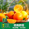 【江西】赣南脐橙 商品缩略图0