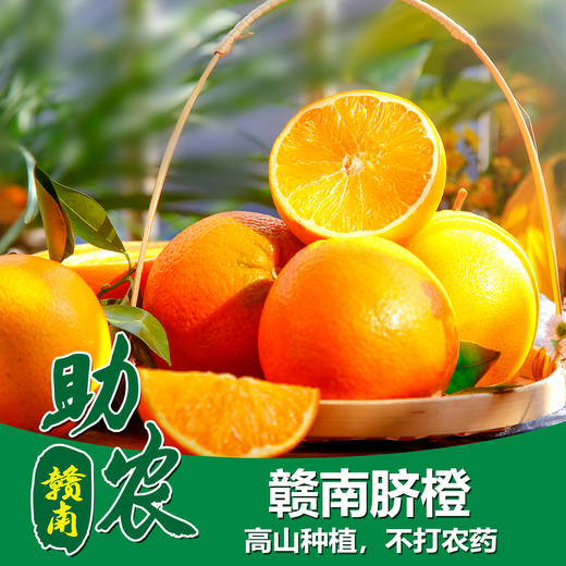 【江西】赣南脐橙 商品图0