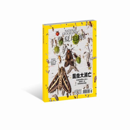 《华夏地理》杂志2020年5月刊（昆虫大消亡） 商品图0