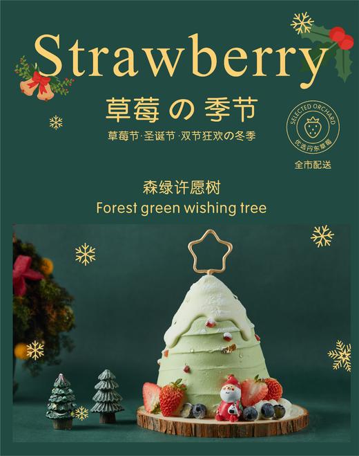 森绿许愿树 商品图0