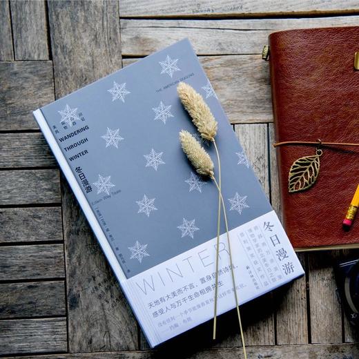 《美国山川风物四记》（全四册） 商品图7