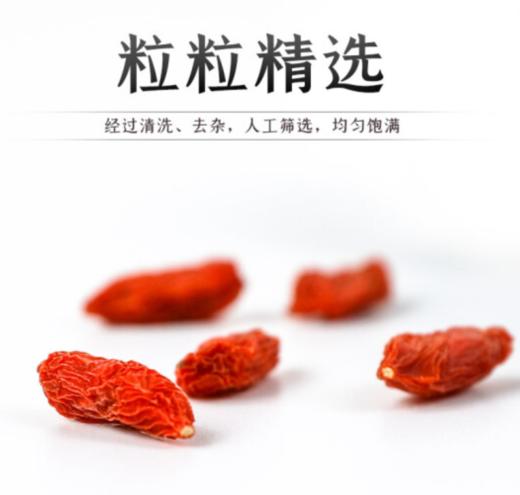 奇正·掌生香杞 商品图2