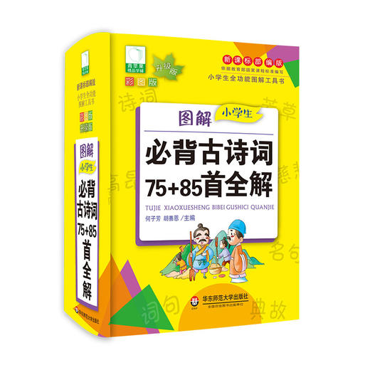 小学生全功能图解工具书套装 青苹果新版 新课标部编版 小学生全功能图解工具书 全彩教辅 正版 华东师范大学出版社 商品图11