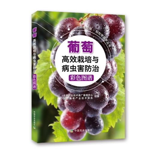 葡萄高效栽培与病虫害防治彩色图谱 商品图1