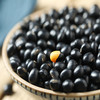  燕之坊 黑豆2斤 辽宁彰武原产地采集 东北黑豆 饱满易煮 商品缩略图4
