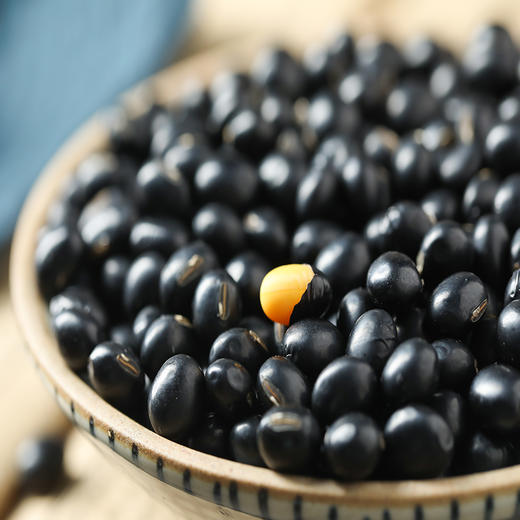  燕之坊 黑豆2斤 辽宁彰武原产地采集 东北黑豆 饱满易煮 商品图4