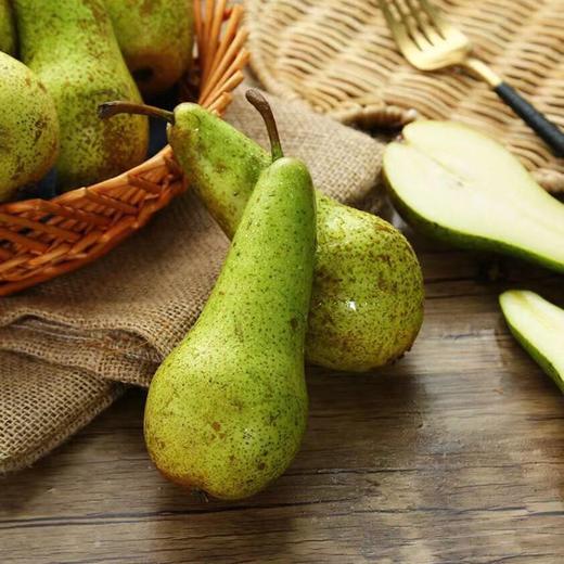 1111比利时啤梨 可带皮吃的梨果 细腻鲜甜 - 版纳天天水果