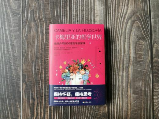 卡梅里亚的哲学世界：写给青少年的36堂哲学启蒙课，更贴近生活的《苏菲的世界》 培养健全人格，从读哲学开始 商品图0