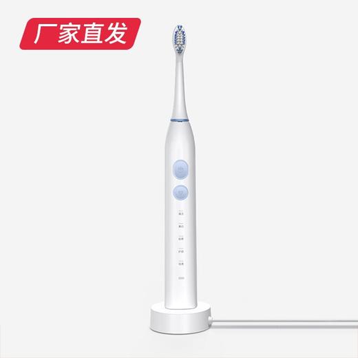 【小狗】电动牙刷 Y1（厂家直发）  商品图4