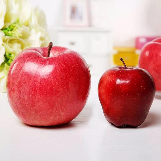 【Merry Christmas】超大精品木制礼盒单只装 圣诞节平安夜苹果果 送佳人送亲友超有范儿（1枚装/单果450g起） 商品图4