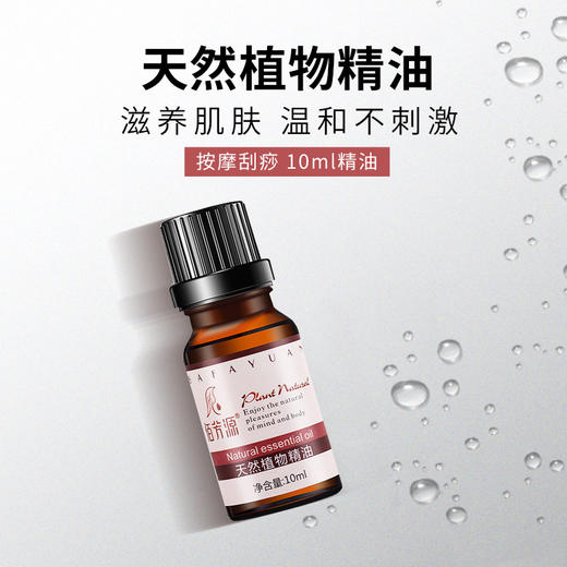 精油按摩全身护肤10ml小瓶玫瑰精油开背美容院SPA馆同款身体推油 商品图1