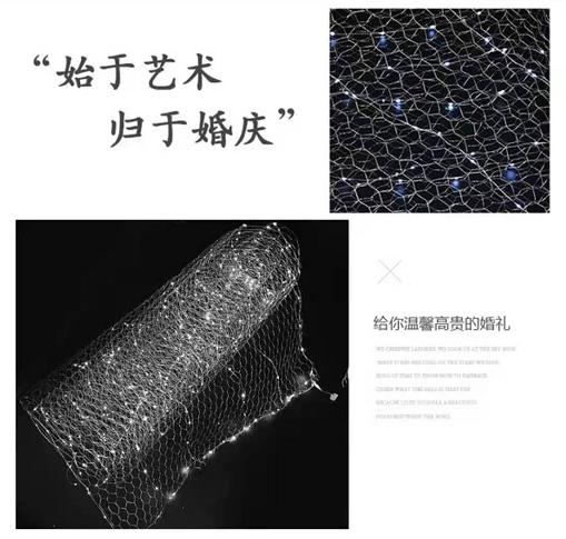 铁丝网  鸡笼网 商品图1