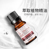 精油按摩全身护肤10ml小瓶玫瑰精油开背美容院SPA馆同款身体推油 商品缩略图2
