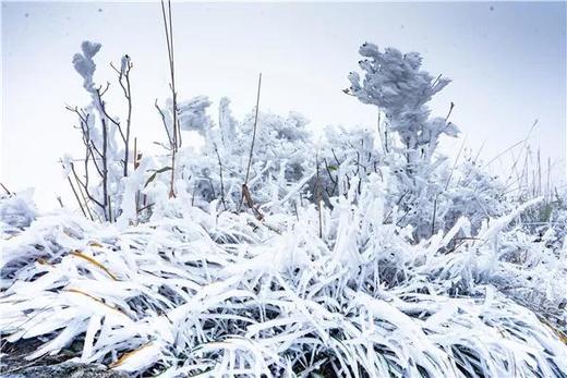 12.20【清远】广东“玉龙雪山”金子山·瑶寨风情两天摄影<臻享1元> 商品图13