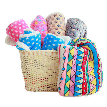 狗狗毛毯猫咪垫子睡垫宠物被子冬天毯子狗垫子秋冬款棉垫猫窝狗窝 商品图1