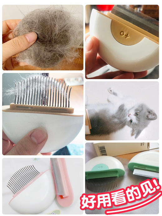 猫咪狗狗家用祛浮毛梳子手套贝壳梳/直柄梳 商品图1