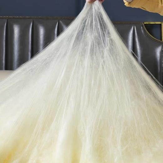 天然黄金茧蚕丝被高档亲肤柔顺被子被芯 商品图2