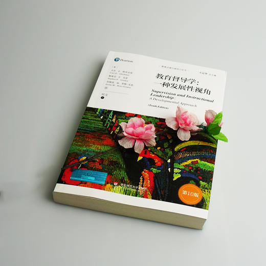 教育督导学 一种发展性视角 第10版 教育治理与领导力丛书 正版 华东师范大学出版社 商品图2