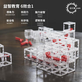 DesignNest滚珠积木玩具